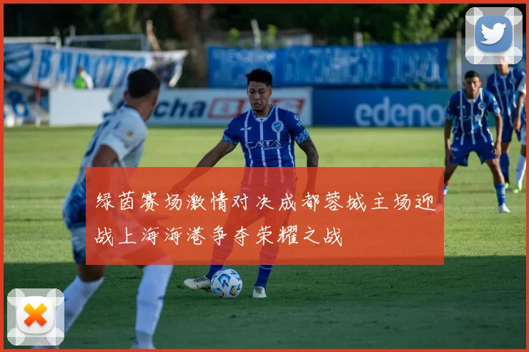 绿茵赛场激情对决成都蓉城主场迎战上海海港争夺荣耀之战